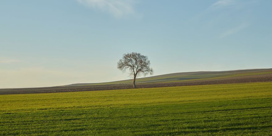 Asiakkaiden tarpeet ovat monelle yritykselle mysteeri. Se voi tarkoittaa vääriä hankintoja tai tarpeettomia markkinointikuluja. 
Yksinkertaisin tapa välttää kalliit virheet on kysyä asiakkailta mitä he haluavat / Forbes.
#asiakastarve #asiakasymmärrys

secondopinion.fi/kululeikkaukse…