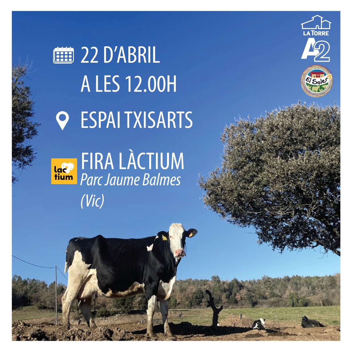 Solerdenhug's tweet image. “QUÈ ÉS LA LLET A2?”

Aquest proper dissabte 22 d’abril a les 12 del migdia us en parlarem al @LactiumVic #Vic! 

Per cert, al #Lactium hi serem tot  cap de setmana, junts amb la Granja Torre d’en Roca. Ens hi veurem?