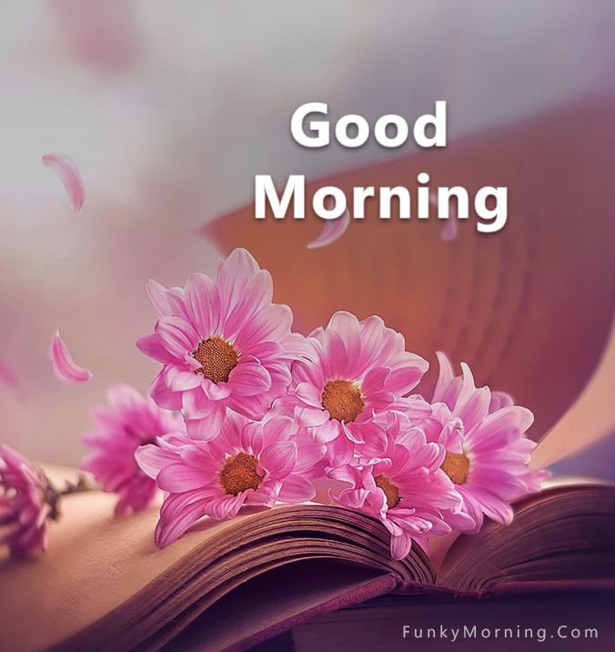 Good morning everyone 🌅💖🤗