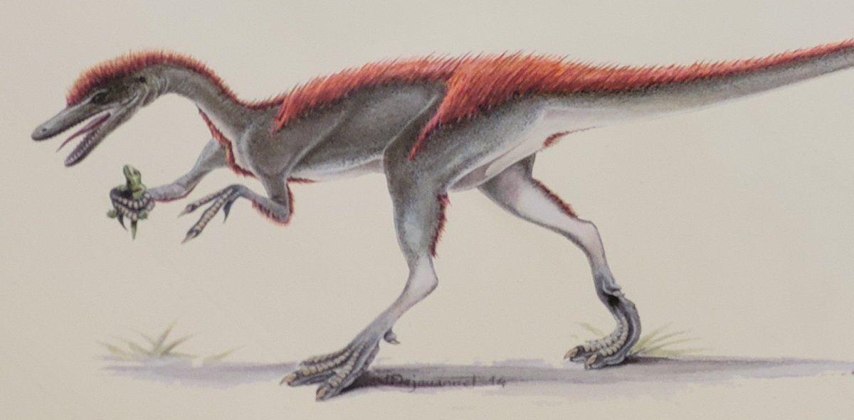 Firmly grasp it! Spotted <a href="/Le_Museum/">Muséum national d'Histoire naturelle</a>  #dinosaur #meme