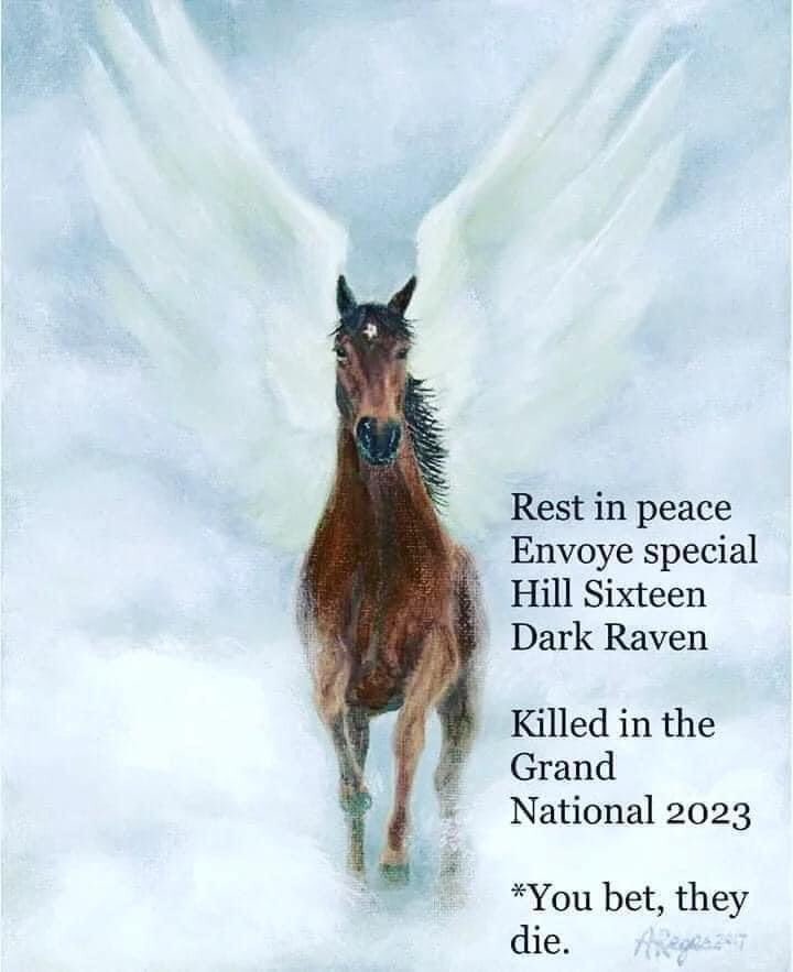 domdyer70's tweet photo. One day we will look back at horse racing as little more than animal abuse https://t.co/juEhpKD42M