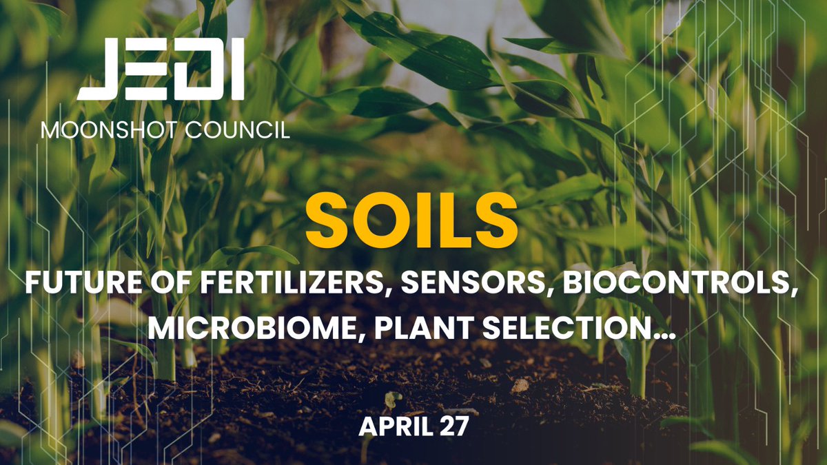 J.E.D.I.⚡️ tweet media