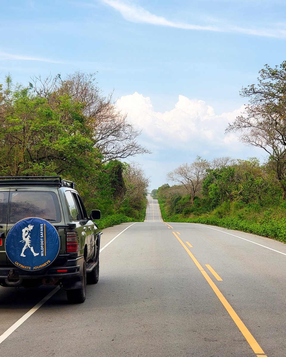 Let's take you on a journey across Africa for a bespoke, authentic African experience. Our teams in Uganda and Zambia are ready to help curate your safari, Talk to us today; 
____________________________________
🌐 wildfootsafarisug.com 
📧 info@wildfootsafarisug.com