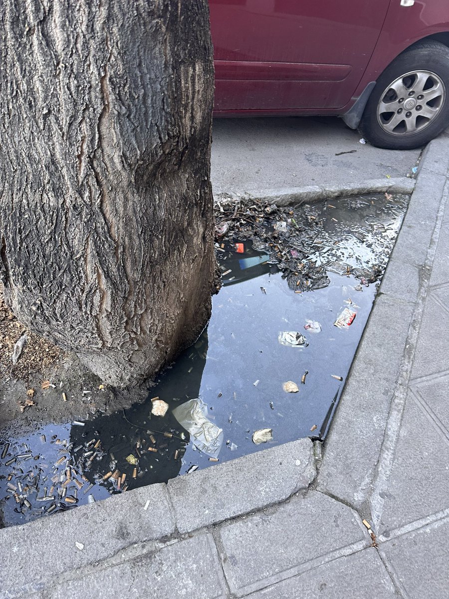 HectorAbuin's tweet image. Calle juan pablos. El porvenir #SevillaSuciaABC