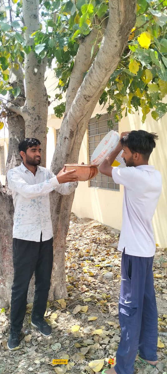 abvpsgnr's tweet photo. आज ABVP इकाई सादुलशहर के द्वारा मुख्य सार्वजनिक स्थानों पर पक्षियों के लिए परिंडे बांधे गए । https://t.co/vgIUtX8JY2