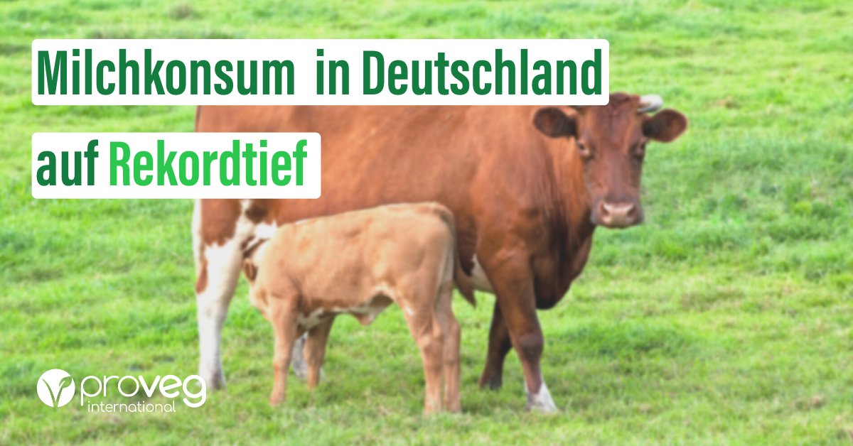 🥛#Pflanzenmilch auf dem Vormarsch: Der deutsche #Milchkonsum hat im letzten Jahr einen historischen Tiefstand erreicht. 👏Auch bei Butter und Käse tierischen Ursprungs sind Rückgänge zu verzeichnen, so die Zahlen des BLE.