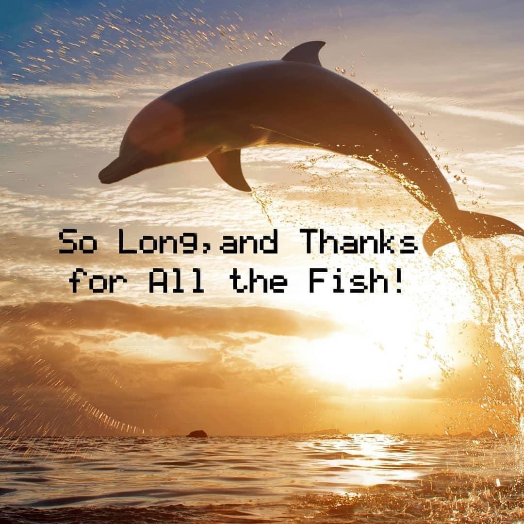 ellisoconnor's tweet image. “So long and thanks for all the fish” #libspill #Libsplit #auspol