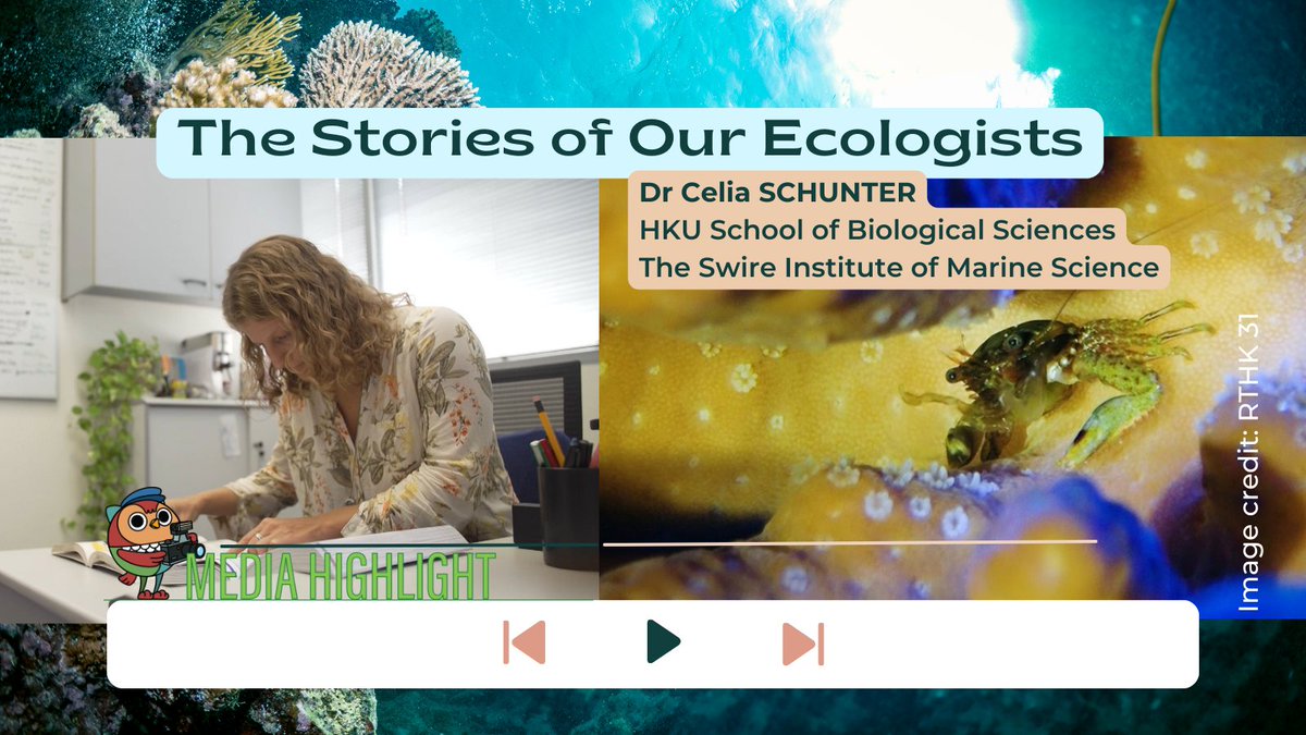 HKU_Science tweet media