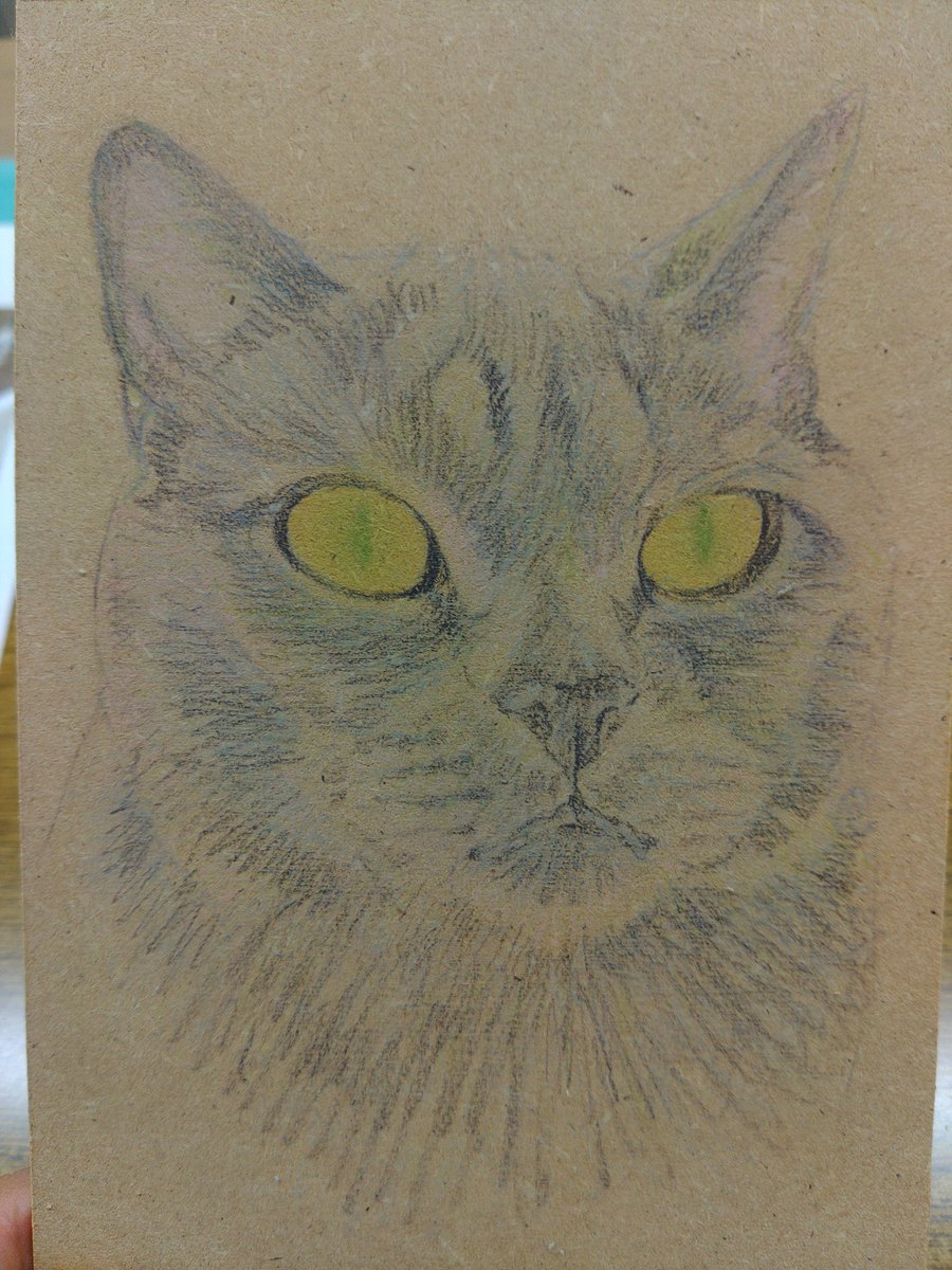 目羅健嗣 絵画 原画 猫 アンカー 名画 【公式通販】