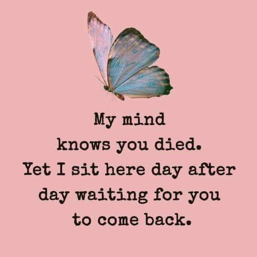 VPmum_UK's tweet image. Happy 7th birthday in heaven Harriet. My firstborn’s there too. Undiagnosed #vasapraevia ^i^. James would be 21 in Oct. Sorry for your loss xx
