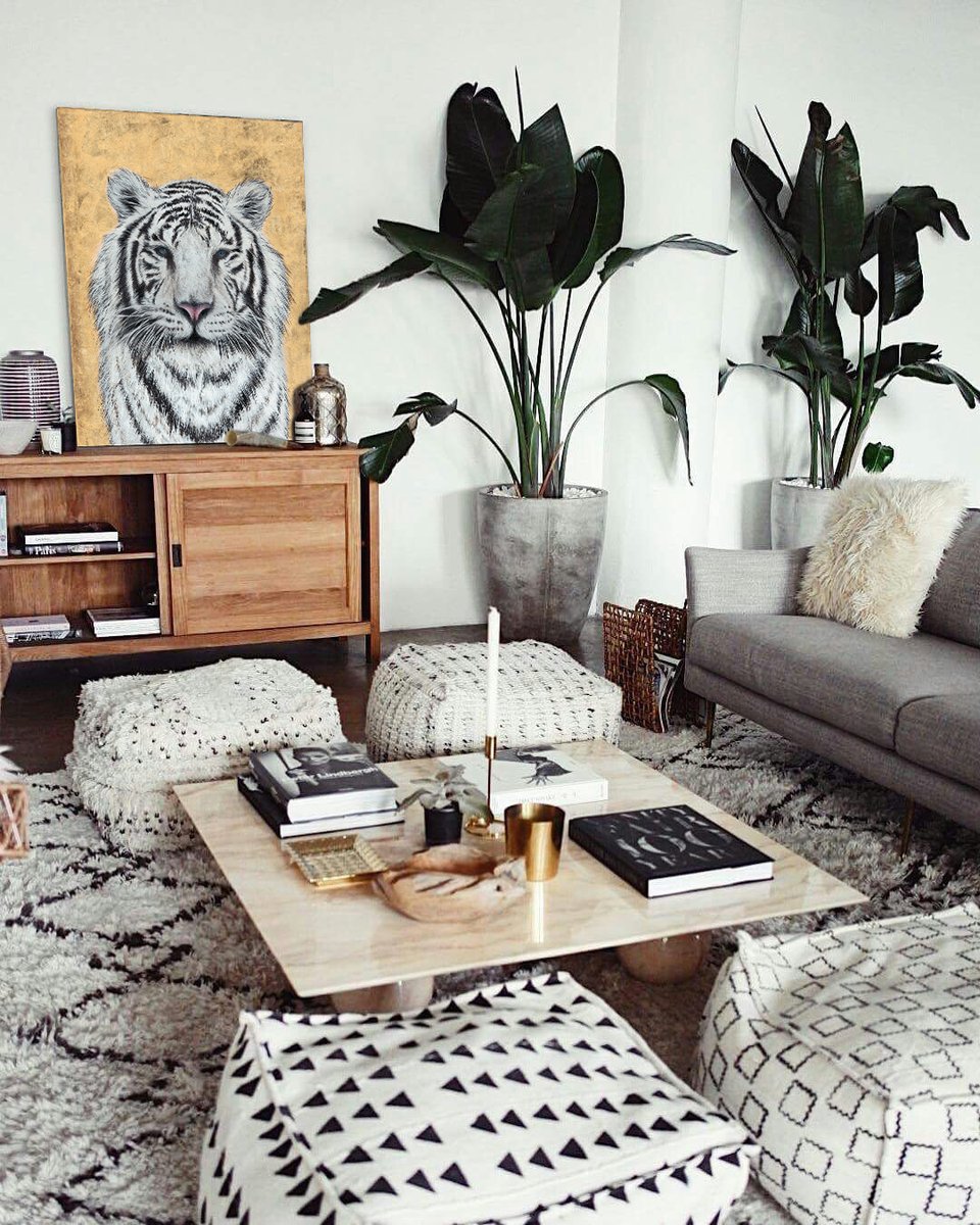 They said this babe ties the room together…

But which white tiger doesn’t?!