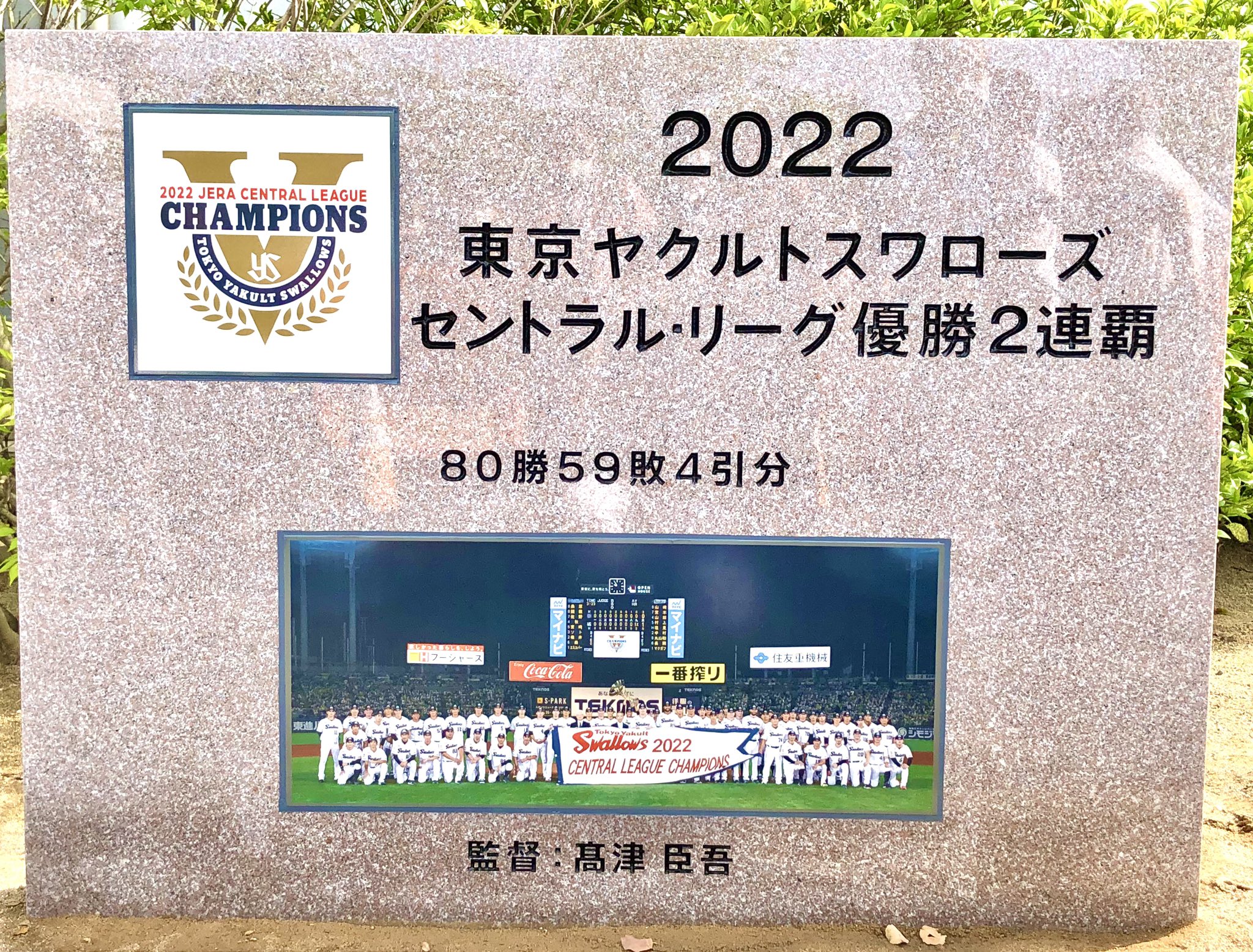 Amazon.co.jp: 東京ヤクルトスワローズ セリーグ優勝記念