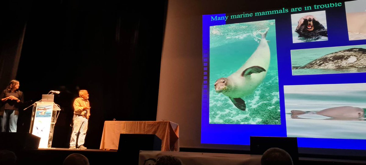 European Cetacean Society tweet media