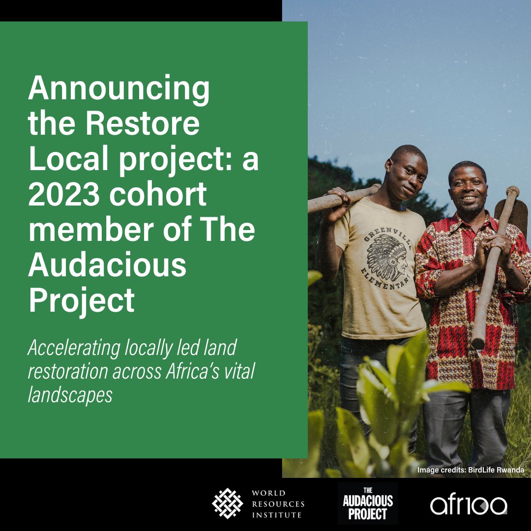 The Restore Local project is proud to be a part of @TheAudaciousPrj 2023 cohort! This 4-year project will support local #RestorationChampions revitalizing #AFR100 landscapes through
🌱Capacity building & exchanges
💰Deploying finance
🏛️Securing policies 
🗺️ Monitoring progress