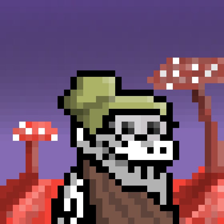 Shred 👨‍🍳 tweet media