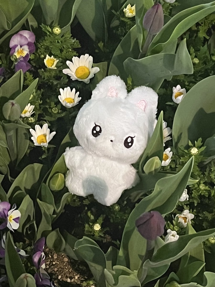10cm_yves's tweet photo. 하뽀 2차 판매기간 하루 남았습니다 ‼️
17일 월요일 11시 59분에 폼이 닫히며
선입금 후 재고판매가 있을 예정이고 수량은 미정입니다 🥲 구매를 꼭 원하시는 분들은 선입금 기간 놓치지말고 참여해주세요 ₍ᐢ..ᐢ₎🩷 https://t.co/b3VBGAXhL0
