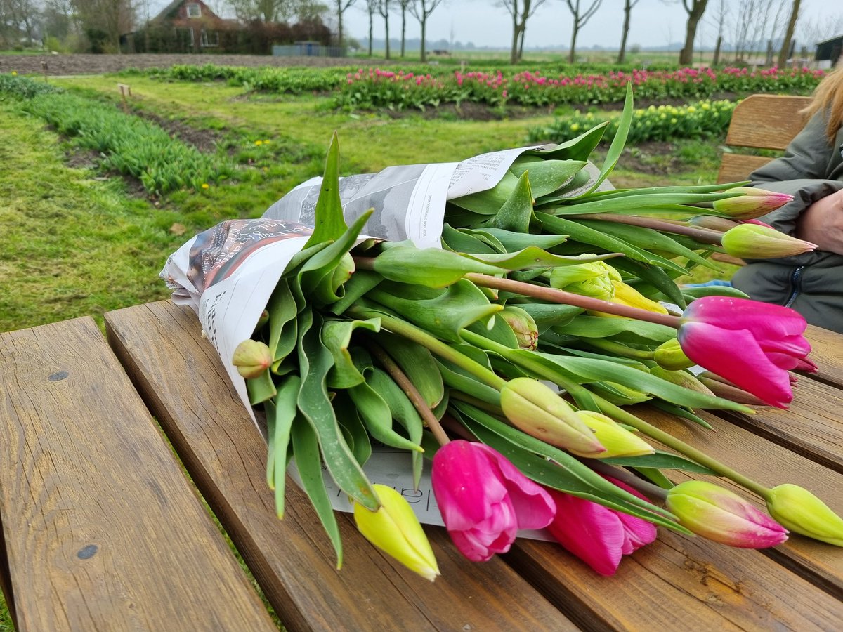 RubertEnter's tweet image. #pluktuin Grijpskerk