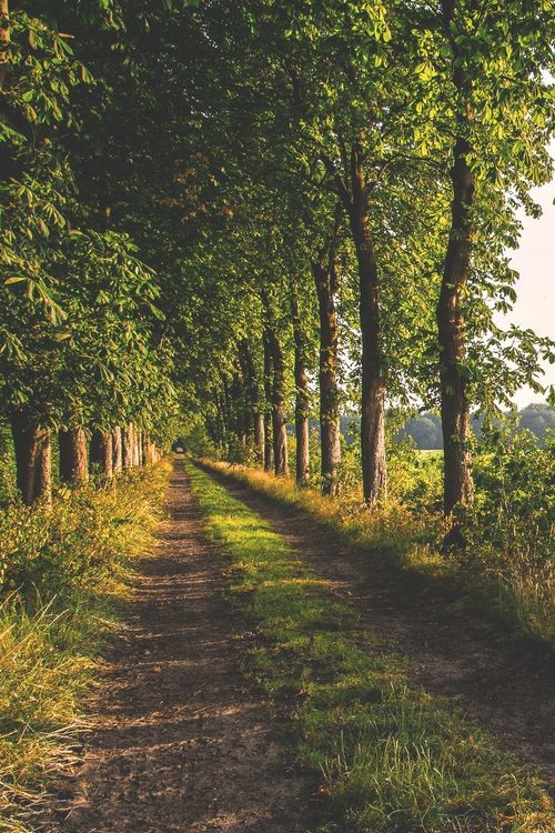 𓍊˖ ࣪⊹ tweet media