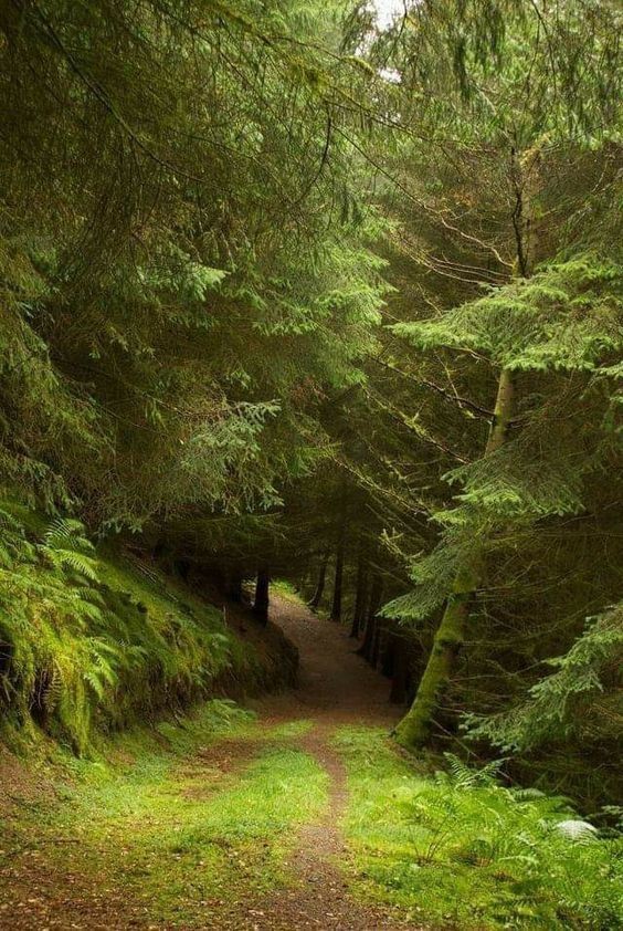 𓍊˖ ࣪⊹ tweet media