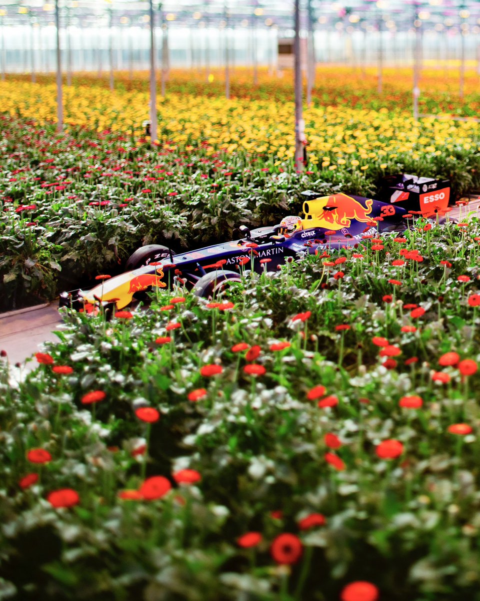 Oracle Red Bull Racing on Twitter: 