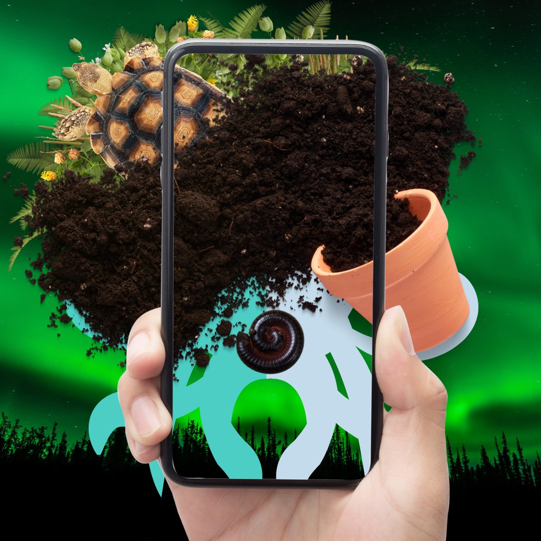 NFT with utility : Banyugan Beach Philippines
meta11-11nft } opensea

#nft #nftart #nfts #nftcommunity #nftinvesting #nftcollector #nftcollectibles #nftmarkets #nftstories #nftartgallery #nftopensea #nftartwork #nftinvesting  #nftclub  #Beachcleaning
#Philippines