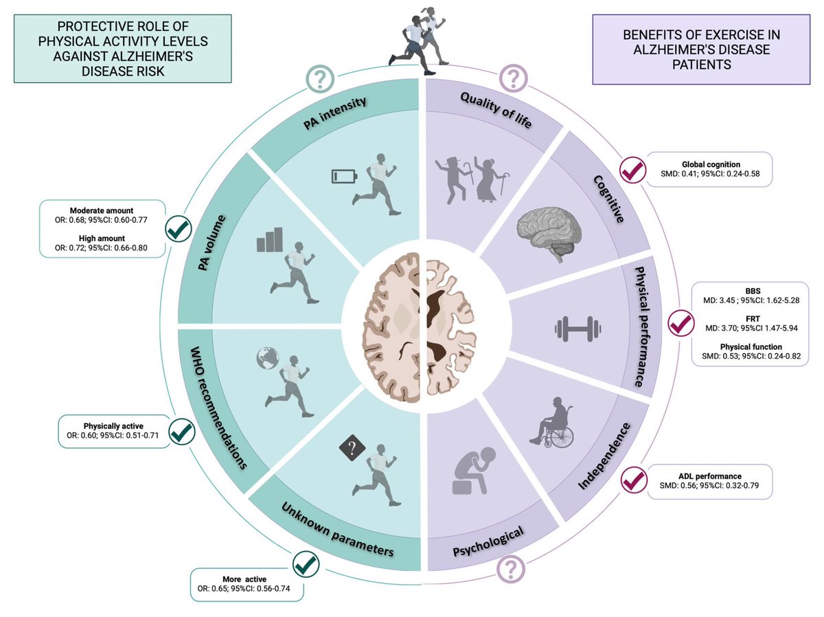 ChristophBurch's tweet photo. Physically active individuals have a lower (~30–40%) risk of developing Alzheimer's disease than their physically inactive peers, and exercise interventions exert numerous benefits on patients who already have AD:
https://t.co/selt48eZtp https://t.co/SHgrOWdnjv