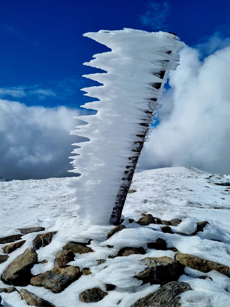 Munros4MND's tweet image. A very enjoyable day! The weather  was better than expected which is always a bonus!

Ben Wyvis ✅️

#ThinkWinter #YourScotland
@walkhighlands @TGOMagazine @ScotsMagazine @VisitScotland @Mountain_Scot @ramblersscot @ScotWays @ilona_turnbull