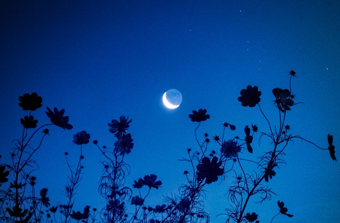 星月夜