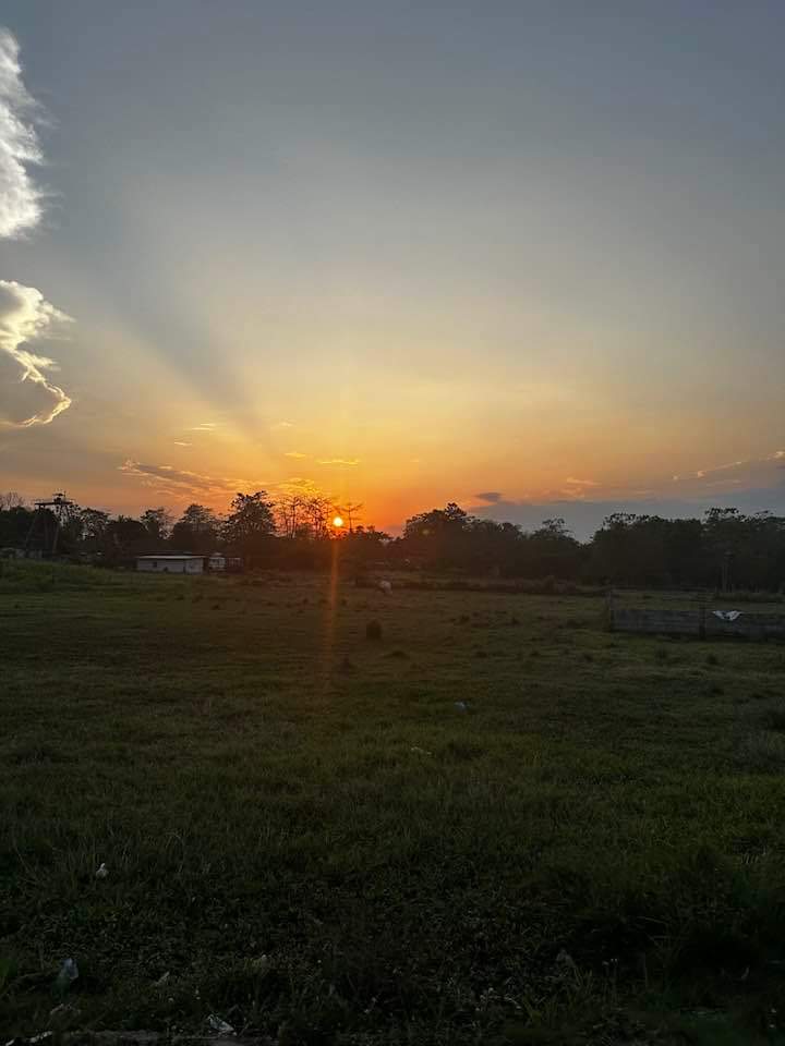 Samantha0797's tweet photo. ...and the Sun sets in.🌄
Sunset in the PH is always Stunning.😍
Happy Late Aftee Beautiful and Sweet Tweeps!😊
#Viewtiful
#GodsGift
#PHSunset https://t.co/gvJ9CtYiAD
