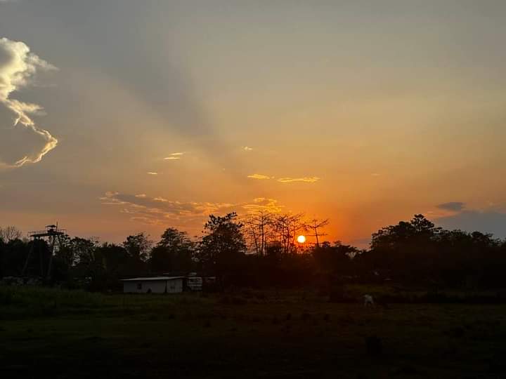 Samantha0797's tweet photo. ...and the Sun sets in.🌄
Sunset in the PH is always Stunning.😍
Happy Late Aftee Beautiful and Sweet Tweeps!😊
#Viewtiful
#GodsGift
#PHSunset https://t.co/gvJ9CtYiAD