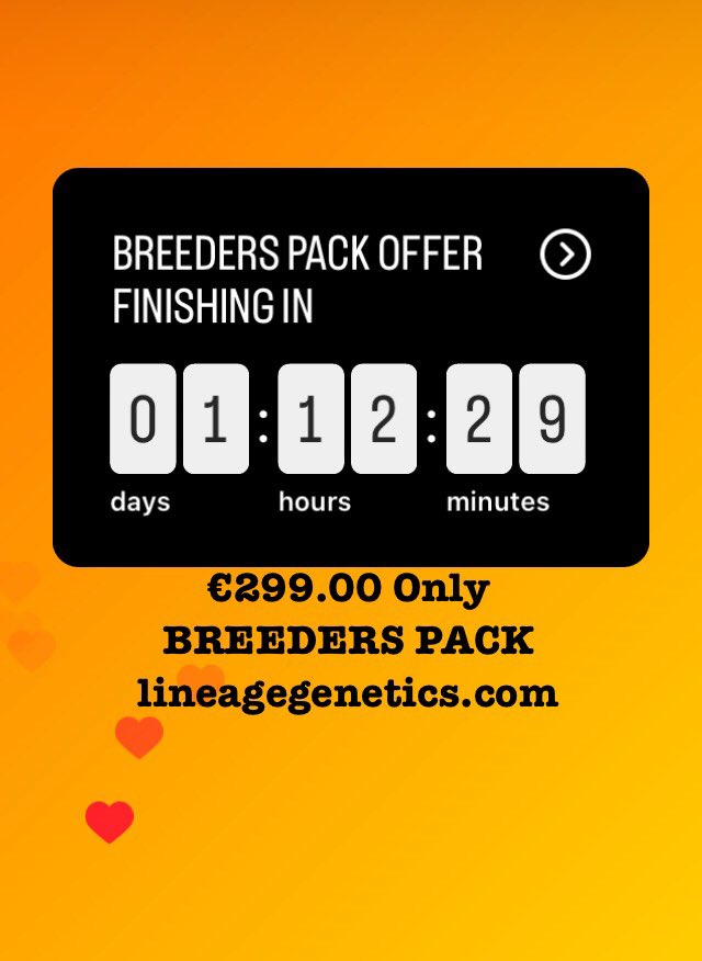 Lineagegenetics's tweet photo. 36 hours until SPECIAL OFFER ENDS. #420community #420friendly #420gamers #Automaticseeds #CannabisCommunity #cannabisnews #homegrownweed #legalizecannabis #weedlife #regularseeds #thc #cannabisseeds https://t.co/JDqh7NcIHB