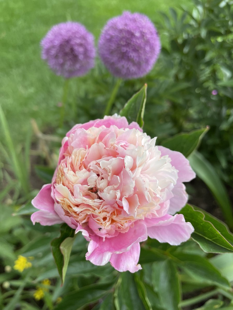 Victor Russo tweet media