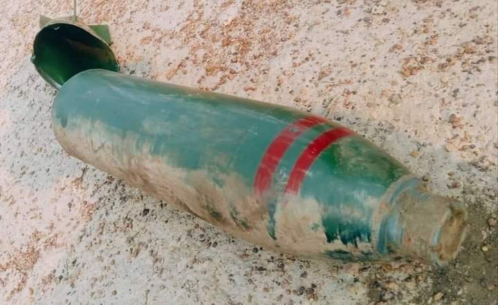 Winter Bear 🦋🇲🇲 tweet media