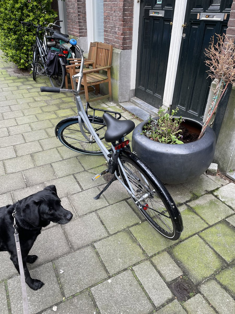 gregoryshapiro's tweet photo. Serious question #Swapfiets riders: is there a systemic reason to not lock your bike to anything?
#Amsterdam #Bikes #BikeTheft #Biking #Dutch #DutchStuff #DutchCulture #BikeLock #StreetsofAmsterdam #TypicalDutch https://t.co/MVOyZOOfCT