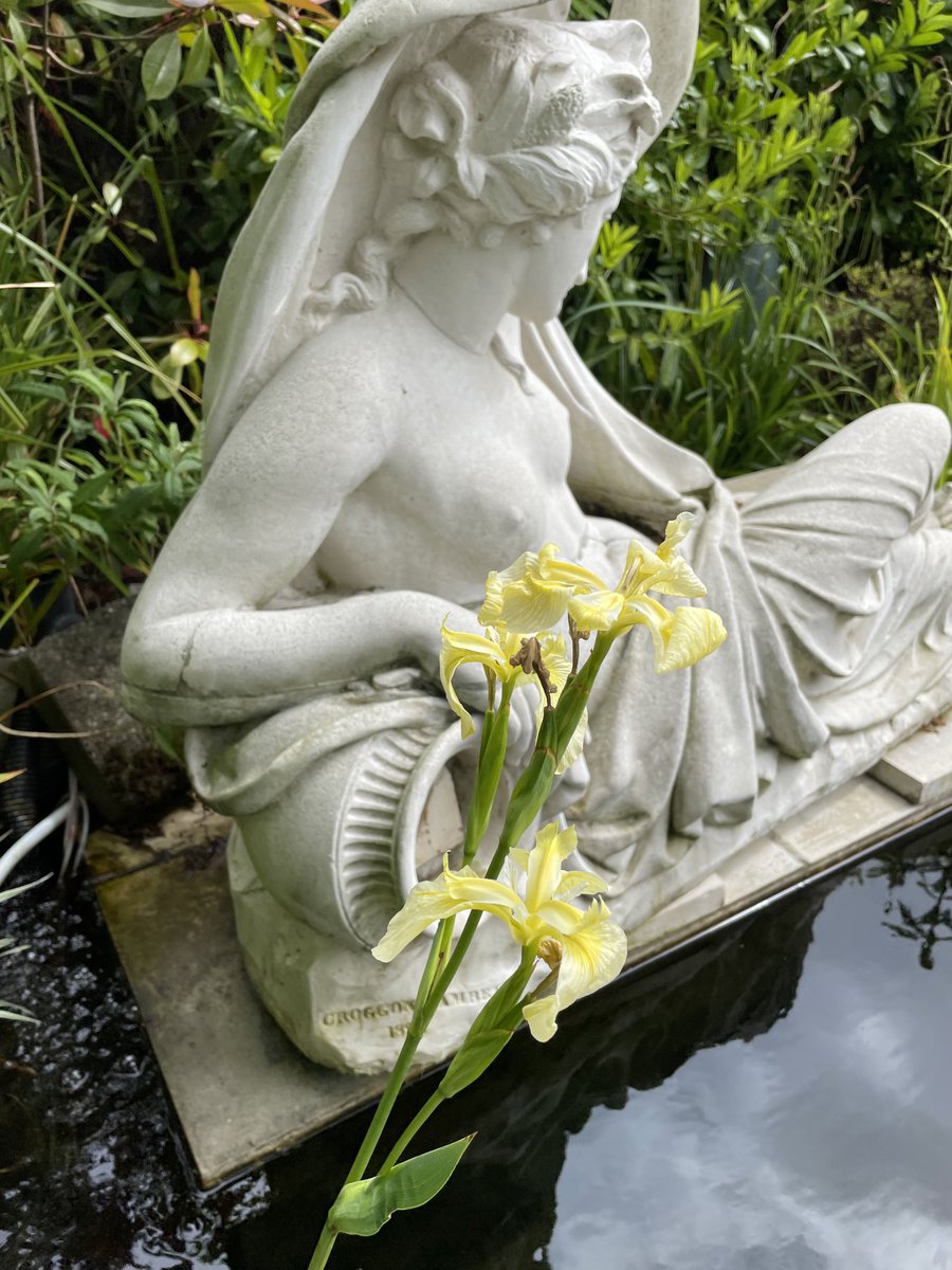 Victor Russo tweet media