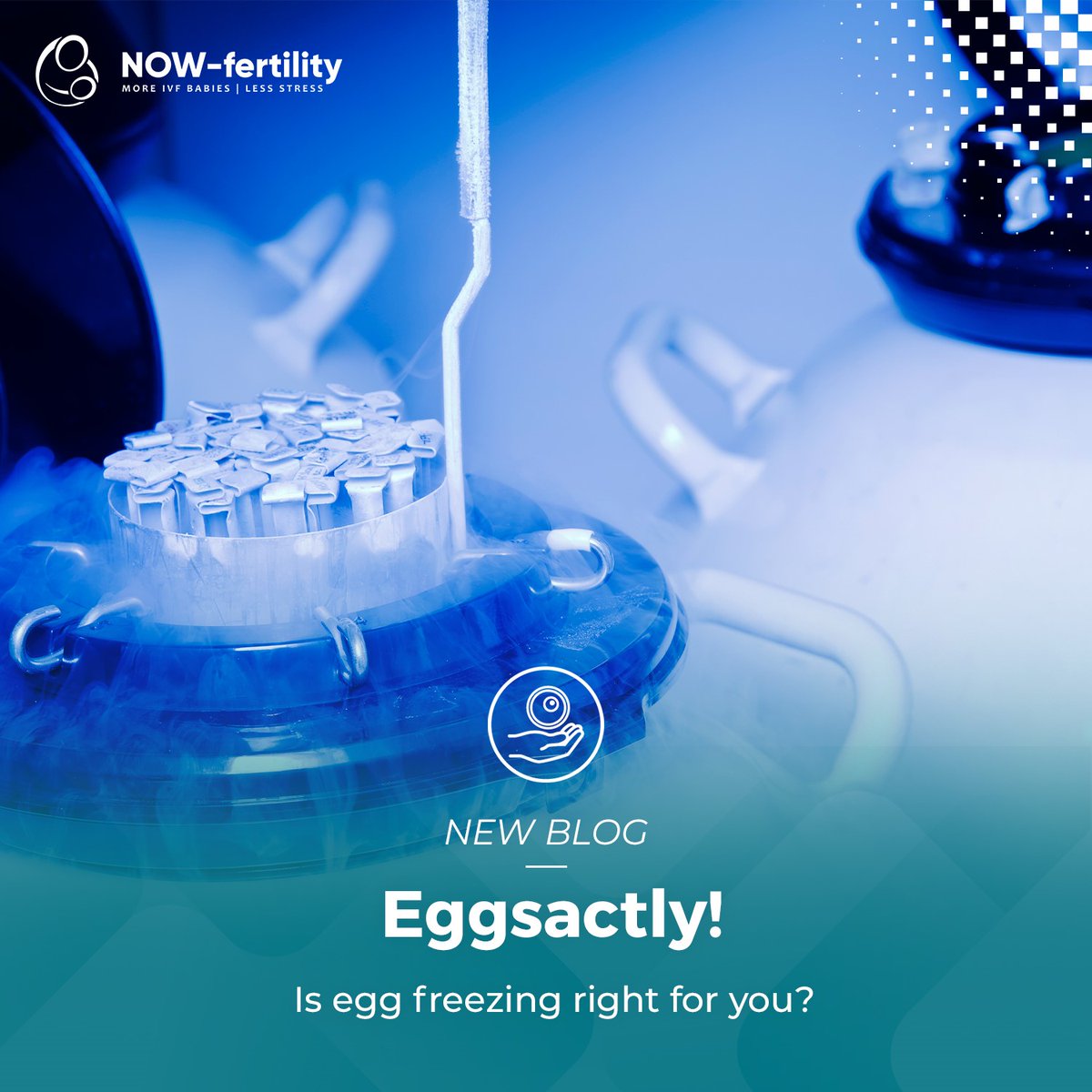 NOW-fertility tweet media