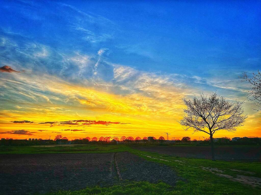 picsnapr's tweet photo. Sunset over the walking park…
🌄 #eveningsky #sun #sunset #sunshine #iphone14 #skycolors #sunsets_oftheworld #twilightscapes #sunset_hunter #sunsetphoto #sunset_pics #sunsetsniper #ig_sunsetshots #all_sunsets #igsunset #sunset_lovers #instasunsets #… https://t.co/QuqaDUy9kh https://t.co/to8OZyHlqQ