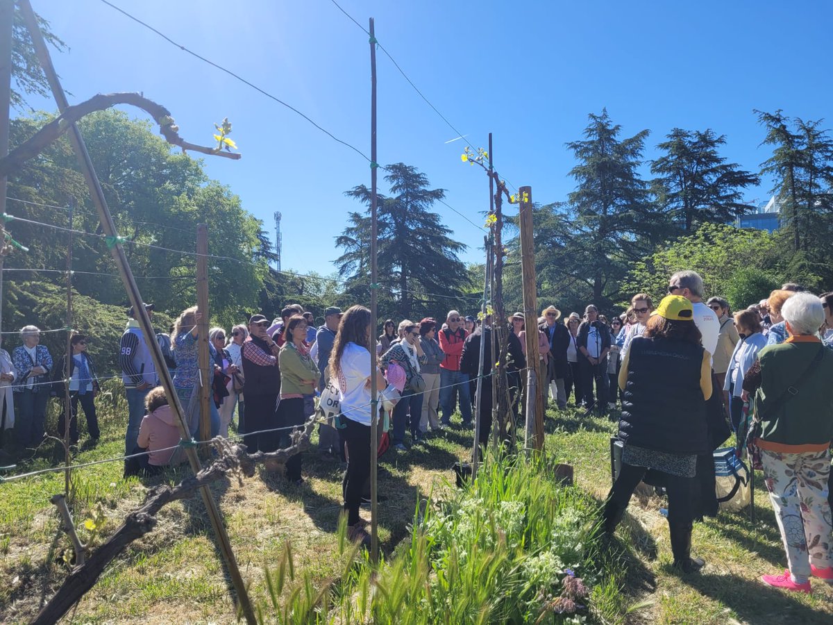 Mañana reivindicativa por una Quinta Torre Arias 100% pública 💚
<a href="/PlataformaQTA/">Plataforma Quinta Torre Arias</a> 

#JuntasHacemosCiudad #SanBlasCanillejas