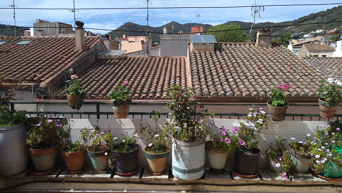 llibertat67's tweet photo. La primavera la sang m'altera i em fa fer de jardinera. També al meu cabell...😉🌹🌸🌼
#FemPrimavera
#Flors
#NewLook https://t.co/uPT8GOys8T