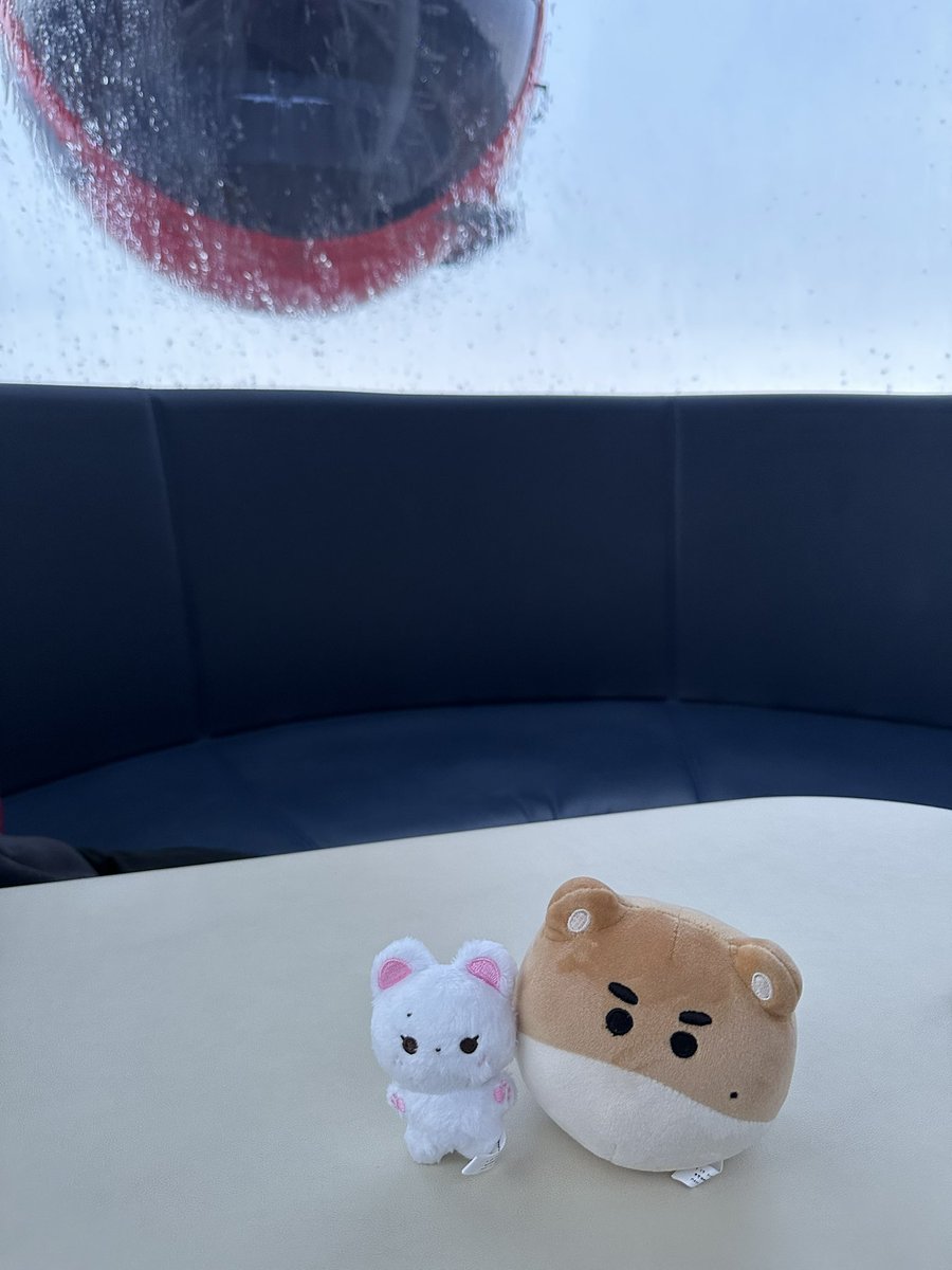 한찌와 뽁야미의 첫 대관람차 경험