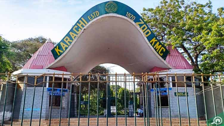 The_Nation's tweet photo. Govt orders to shut down Karachi Zoo permanently
https://t.co/00pGsSLPcL
#Govt #Karachi #zoo https://t.co/HxXdfq7kM9