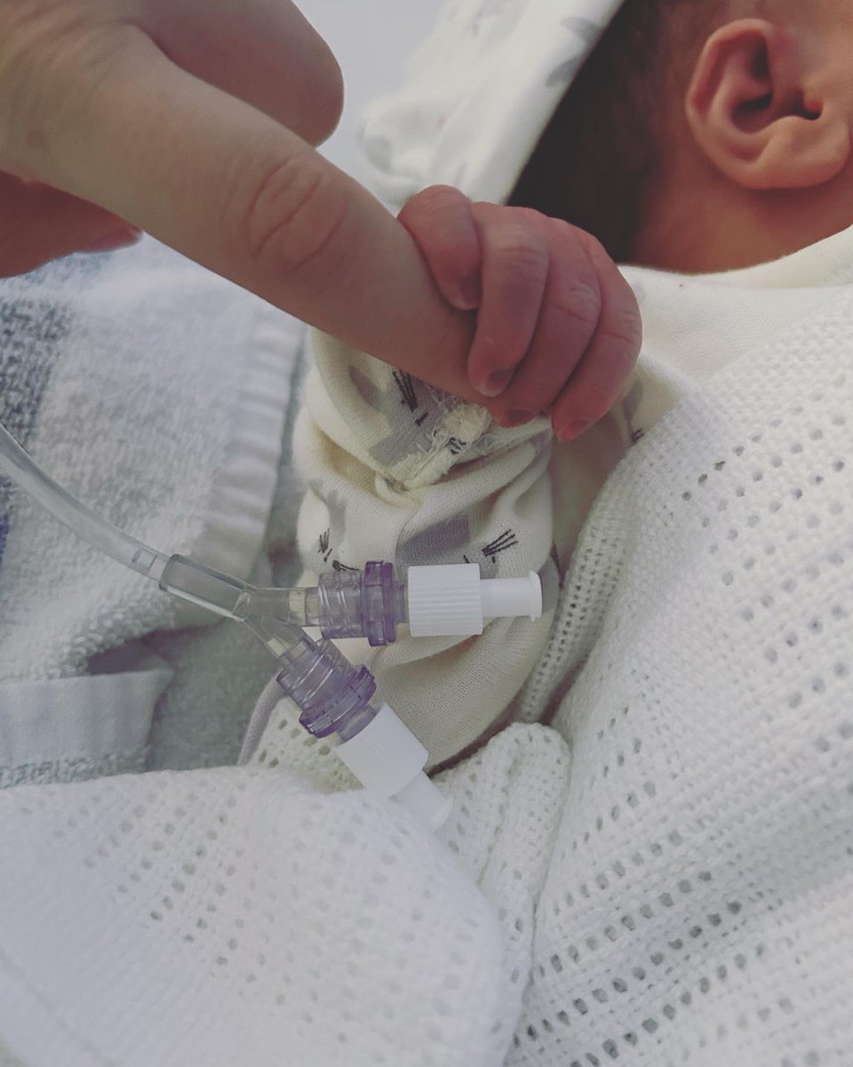 Elle Westerside tweet media