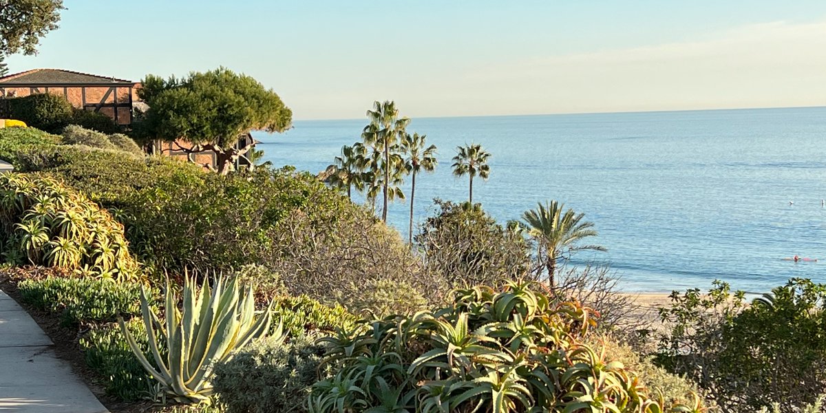 Taking a moment to absorb nature's beauty after closing the YPO leadership conference in Corona Del Mar, CA. Remember, breaks aren't weak, but crucial for success. Rest, recharge, gain new perspectives.

#TakeABreak #NatureInspires #Leadership #CoronaDelMar
