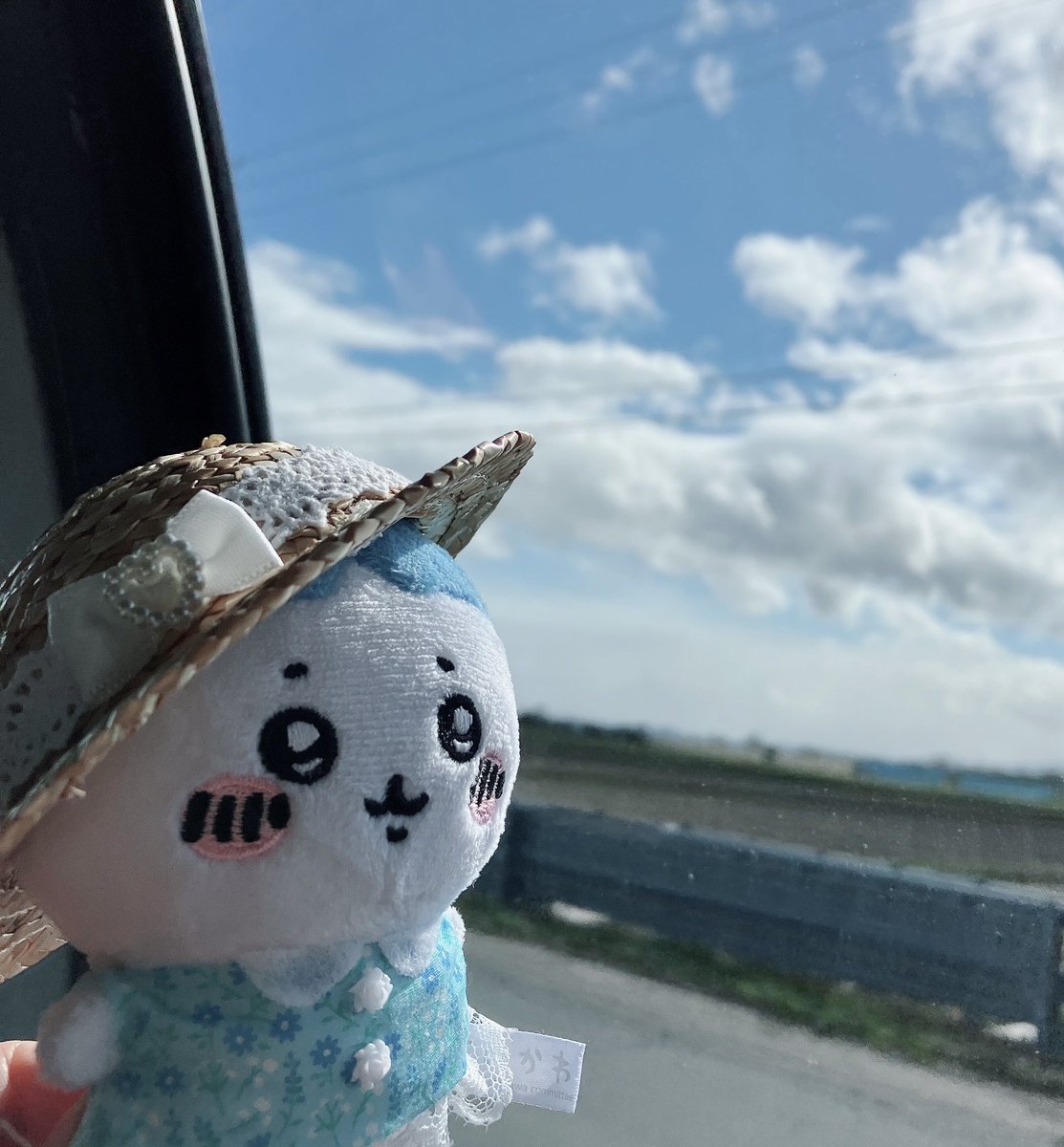 prkr_rai's tweet photo. 晴れた₍ᐢˊo̴̶̷̤  ̫ o̴̶̷̤ˋᐢ₎✨️ https://t.co/OWgvltYa7x