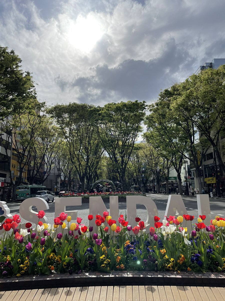 日曜日
よきよき