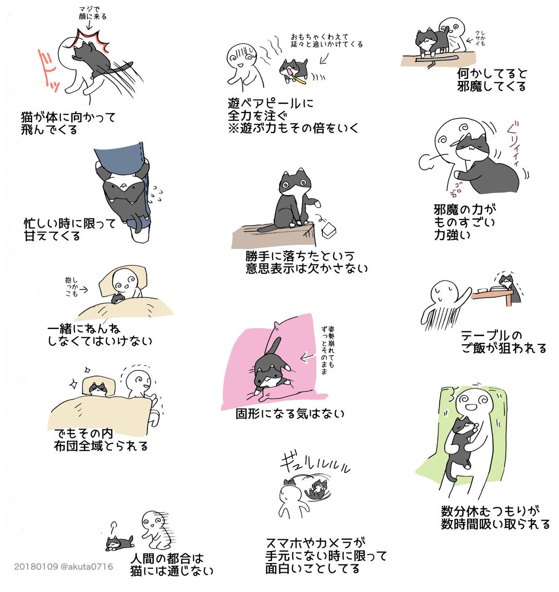 #これでフォロワーさん増えました
「猫と暮らすのは大変」
めちゃ増えたなこれで 
