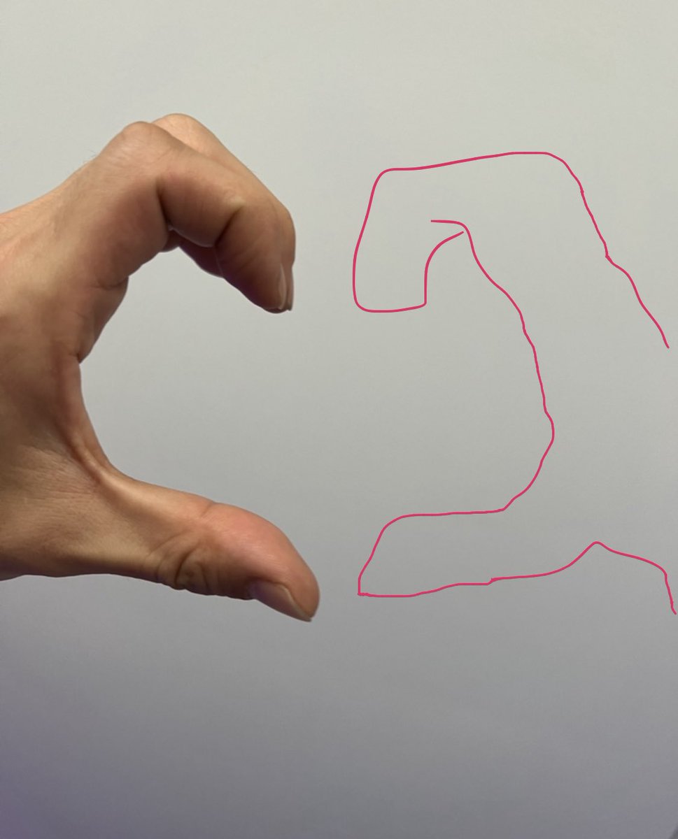 저희 손하트 햇서요