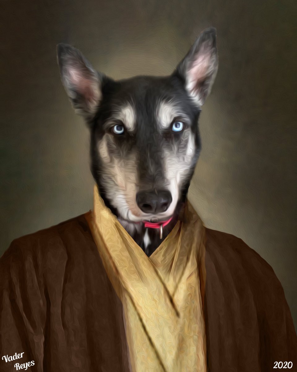 AngelReyesII's tweet photo. I don’t post much here but most know that I have a dog named Vader. Unfortunately tonight we had to make the decision to put him down. I’m glad to have had you in my life for the past 10 years but I really wish that I was given a few more before having to say goodbye #RIPVader https://t.co/5fZDxzTLGq