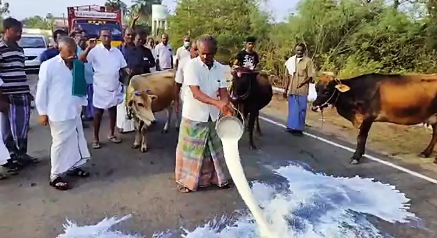 timesofindia's tweet photo. #TOIColumn | What the milk shortage saga tells us about letting government control prices
https://t.co/GTl0rK2tPE https://t.co/kNkWwt4FHT