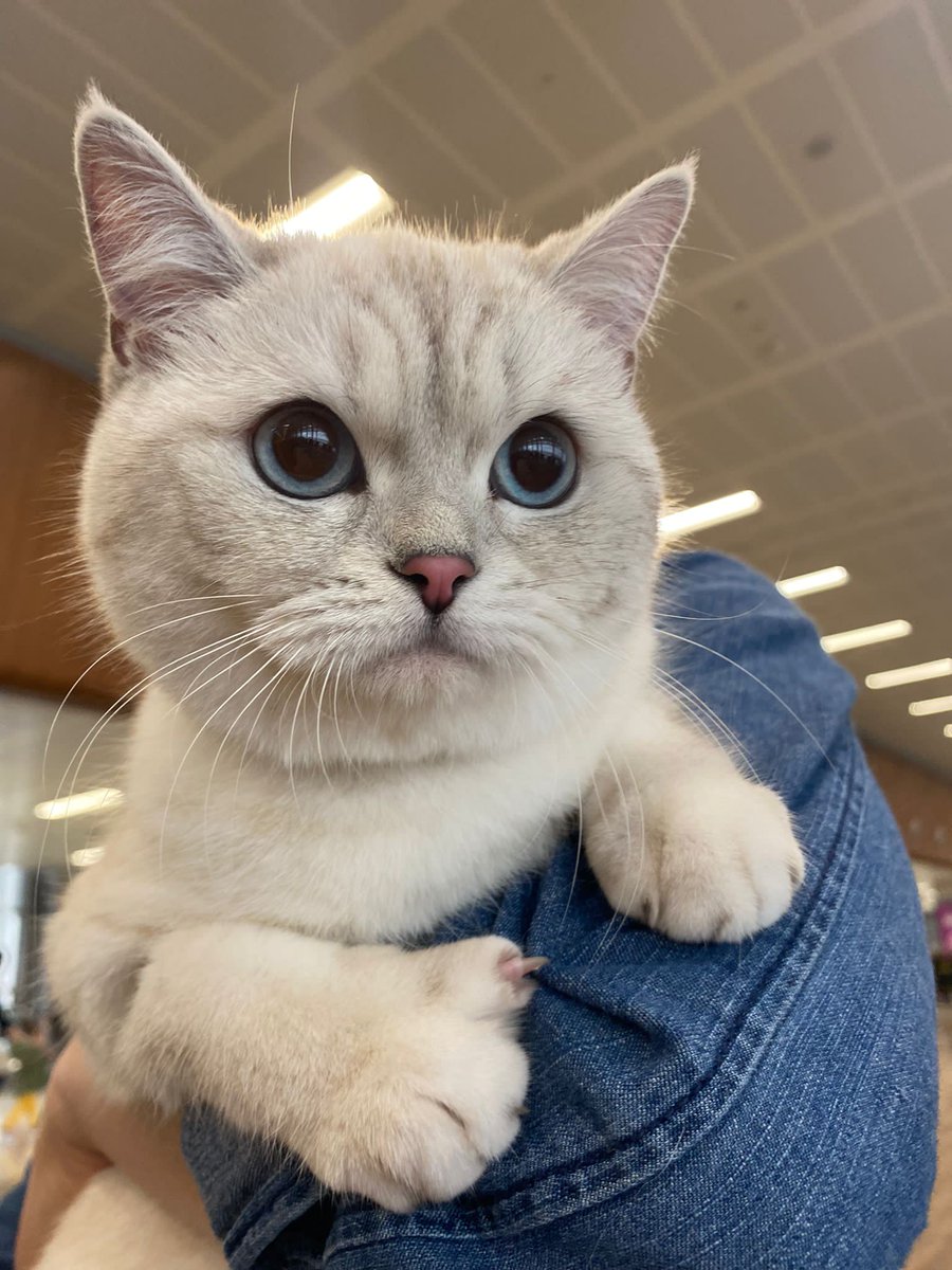 'Sevimli olabilirim ama hırçın bir yanımda var ' görseli ektedir;